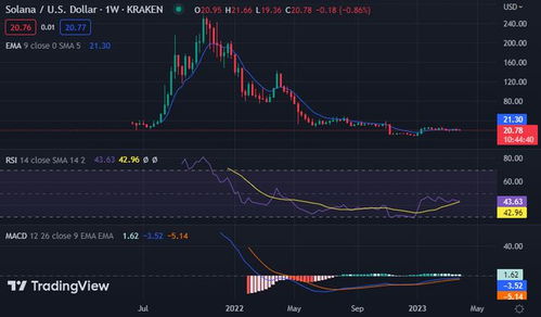  xrp币行情最新价格行情分析预测最新,XRP币最新消息 区块链