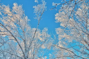 以冰天雪地之名,赴一场冬季恋歌的约定