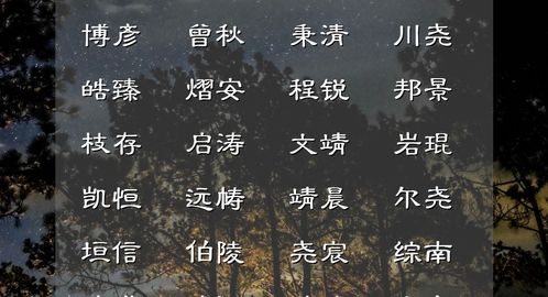 诗句起名字男孩高贵（诗句取名男孩名字文艺）