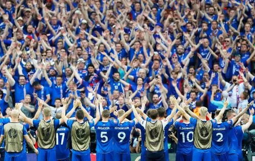 seleção islandesa de futebol