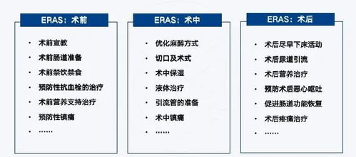 软件著作检索查重：提升软件质量的关键环节