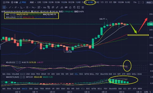 eth币今日价格行情分析,1比特币=多少人民币