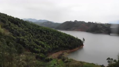 航拍农村水库边上的一个风水宝地,它的朝向和地标怎么样 