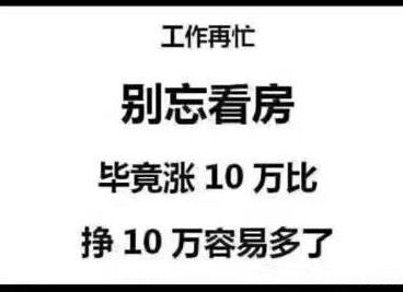 1个字说房产 家 2个字说房产 退路 3个字说房产 救命草 4个字说房产 抵御通胀 5个字说房产 我陪你到老