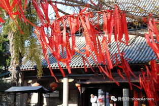 安徽寿县报恩禅寺,江淮大地上的千年古刹(寿县报恩寺停车场是免费的吗)