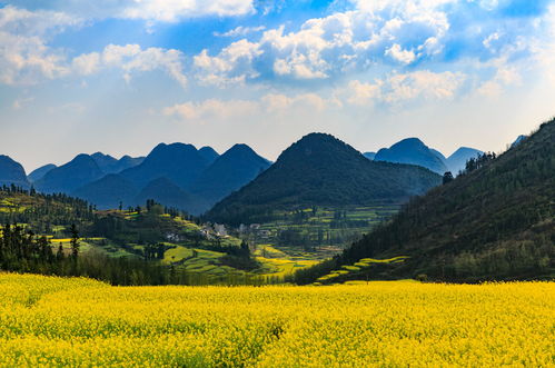 师宗,师宗简介