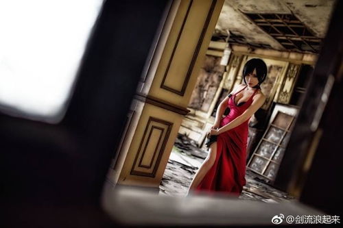 ada wong cosplay outfit,Ada Wong Cosplay Outfit: A Detailed Guide