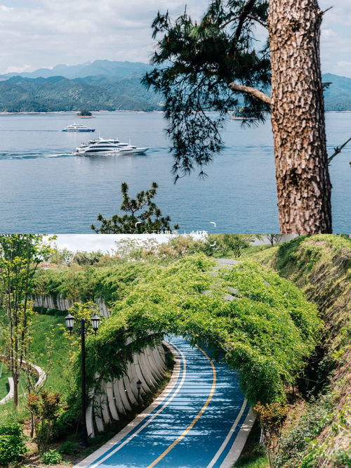 千島湖2日遊攻略：玩轉湖光山色，暢遊自然美景！