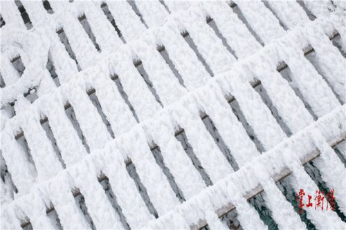 天天下雨 寒潮 降雨来袭 最低气温1