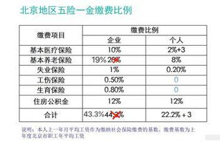 五险一金具体怎么缴纳