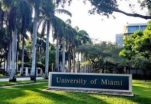 迈阿密大学国内认可度,迈阿密大学在国内的认可度怎么样?