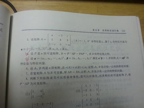 p网和b网是什么意思,p网络是什么意思? p网和b网是什么意思,p网络是什么意思? 快讯