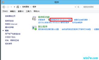 win10专业安装iis