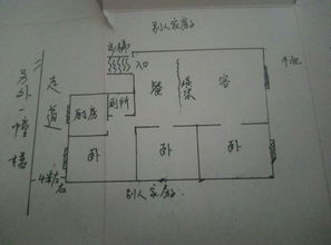 大海水命82年的命数(为什么说大海水命硬1982年出生的人2020年的运气好吗?)