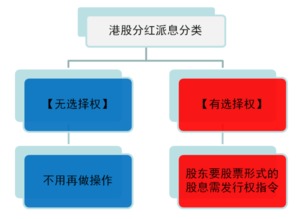 简述分红派息流程