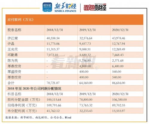 为什么把借：利润分配―未分配利润100万 贷：应付股利100万 在借：应付股利100万 贷