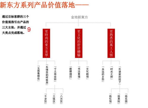 知名企业风华系列命名及VI成果汇报 106p