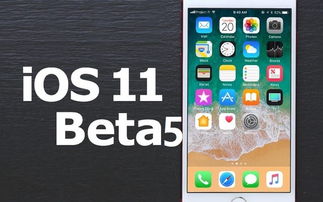 苹果5怎么升级ios11,苹果5升级iOS11：告别卡顿，重拾流畅体验
