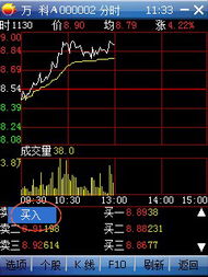 在国外可以用什么软件看国内股票