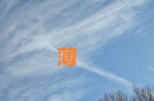 薄的同音字是什么 