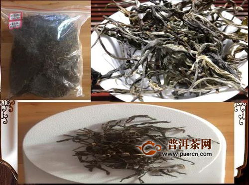 老乌山古树茶是什么茶  第1张