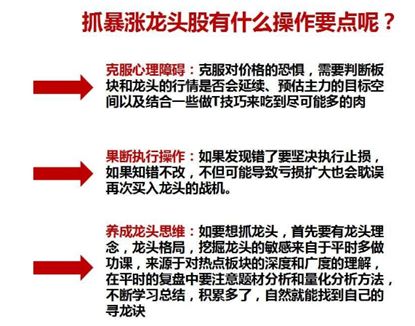 如何通过分析热点版块找到龙头股