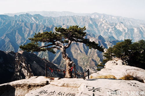 华山住宿攻略游戏手机推荐,华山景区内住宿