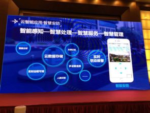 kk卡nexon,nexon账号注册官网