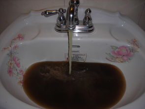 家庭水管需要清洗吗 家庭水管清洗 家庭水管怎么清洗 