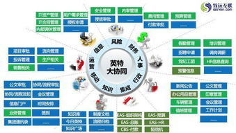 英特互联公司是做什么的