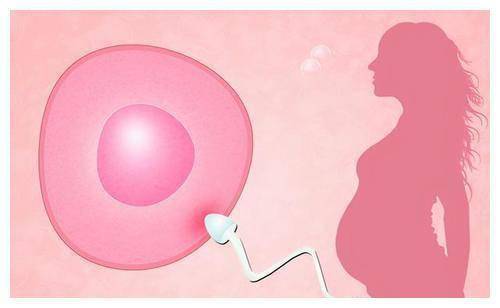 原创女人处于“排卵期”时，身体会有什么变化？备孕夫妻可以留意一下