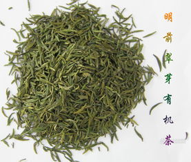 特级明前翠芽有机茶 贵州绿茶 中国十大名茶都匀毛尖 贵州特产