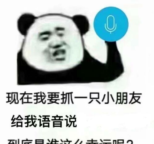 你见过哪些 欠揍 的QQ网名和个签