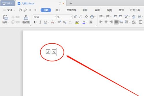 wps可选框怎么加(wps可选方框)