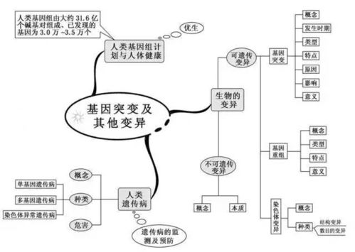 小狗钱钱，提高财商\u0026摆脱穷人思维！（附思维导图）