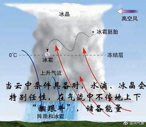 原创 气候与水 2020年世界气象日和世界水日的共同主题