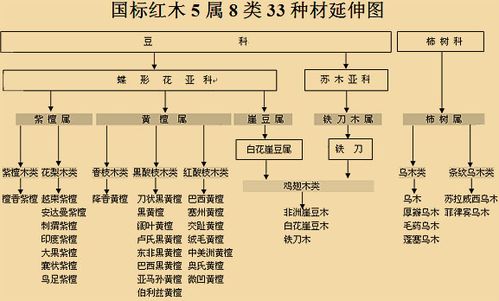 会议纪要廉洁提醒,八项规定内容是指什么