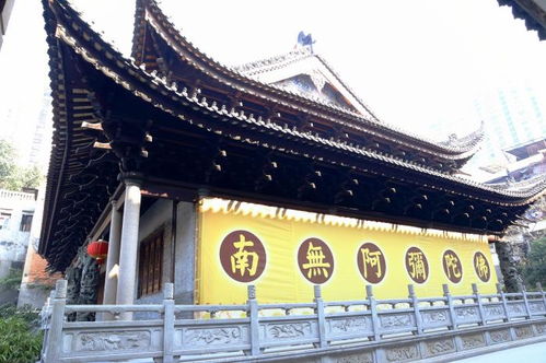 广州被忽略的一座寺庙,是广州四大丛林之首,内有21颗佛舍利子