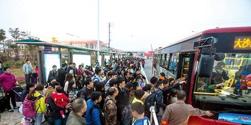 南宁东站外排队挤公交 回应 春运前增至200辆以上