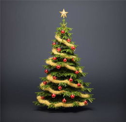圣诞树的星星叫什么,圣诞树星星的寓意