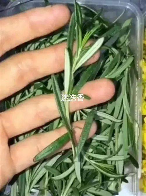 樱桃树盘铺草和铺膜有什么区别