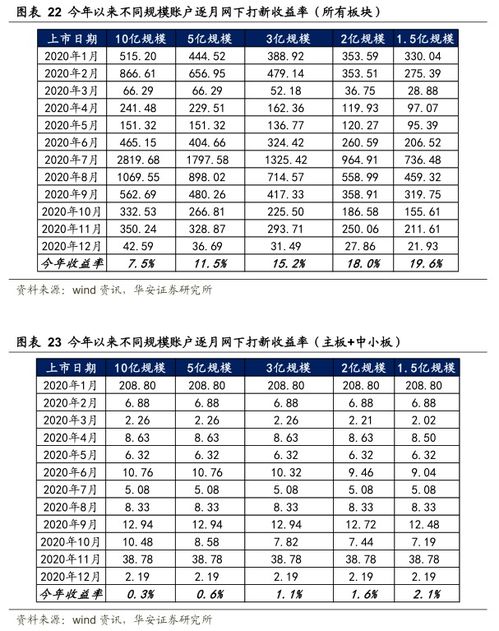 新股发行申购数量怎么定