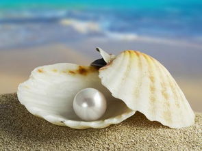 珍珠蚌养几年才出珍珠,蚌壳几岁产珍珠