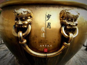 为什么中国古代的富人喜欢在院子里放水缸 