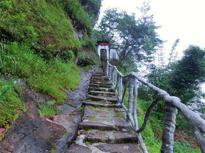 武夷山自助旅游攻略(武夷山晚上游玩攻略)