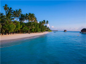 马尔代夫蜜月岛自由行攻略最佳游玩景点及游玩路线（马尔代夫蜜月岛旅游怎么样）