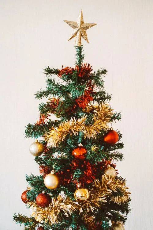 圣诞树一般是什么树,揭秘圣诞树的秘密，让你了解不一样的圣诞树！