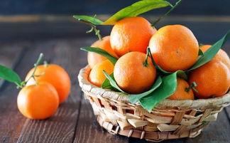 孕妇可以吃橘子吗 孕妇吃橘子的禁忌