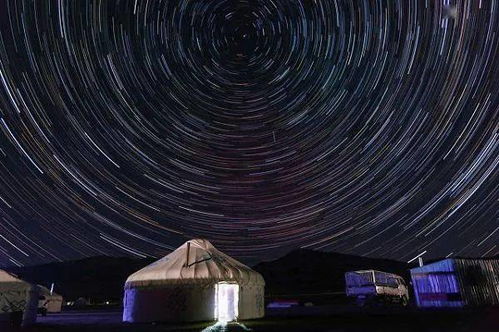 今日科技话题 英仙座流星雨 万吨级多功能实验系统 托珠单抗 富钙超新星 蚂蚁 鲸鱼