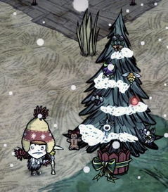 饥荒圣诞树用什么装饰,饥荒红眼冠怎么用